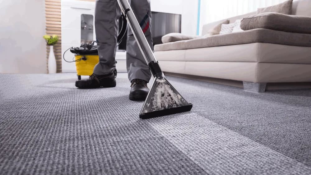 Carpet Cleaning — illustrative